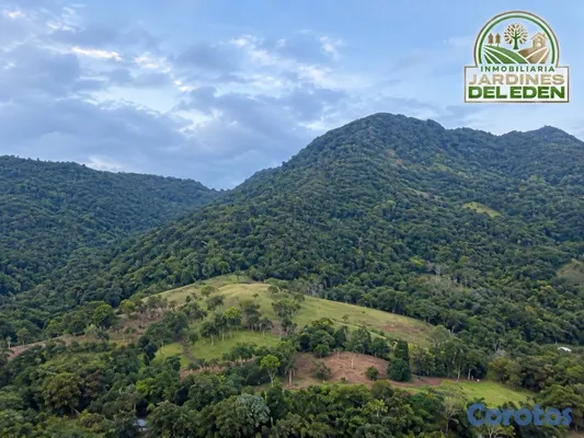 solares y terrenos - 1,000 M2 + MEJORA CERCADA🏡✨ 4