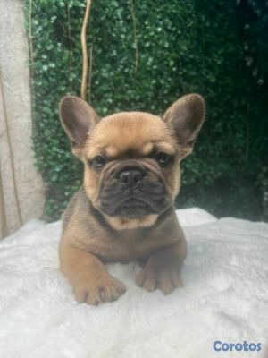 seller-logo