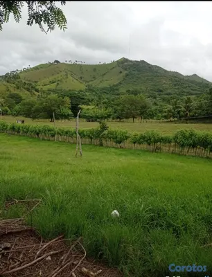solares y terrenos - FINCA GANADERA EN HIGÜEY - 1,000 TAREAS 💰 📍 PRECIO 3
