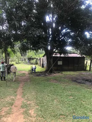 solares y terrenos - TERRENO EN ALQUILER CON OPCIÓN A COMPRA – PULGARÍN 6