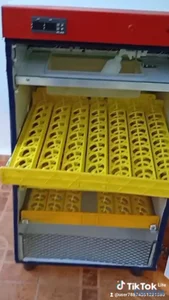 incubadoras automáticas garantía 