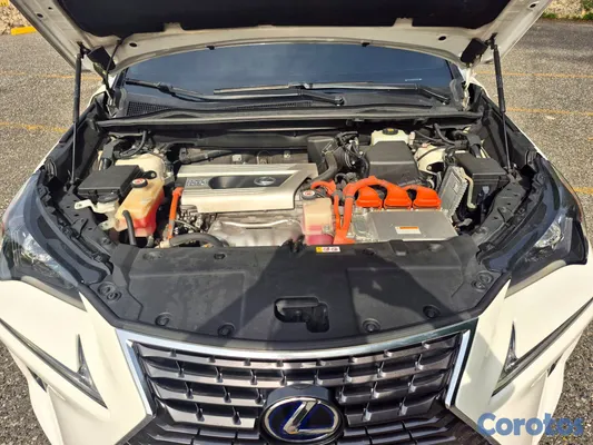 jeepetas y camionetas - Lexus NX300h Hybrid AWD 2020 | Delta Comercial | Único Dueño 3