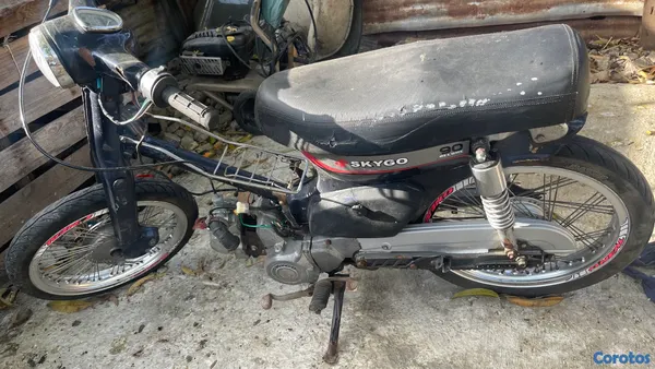 motores y pasolas - Motor 90 Skygo  5