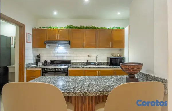 apartamentos - Apartamento Amueblado en Alquiler – Alma Rosa I  C 11