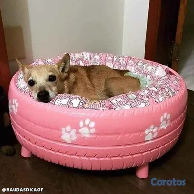 animales y mascotas - camas de perro en perfecto estado 2