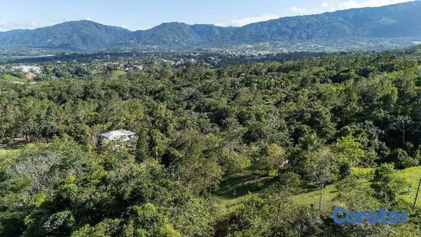 solares y terrenos - Solar en Altos de la Floresta – Estancita, Jarabacoa 8