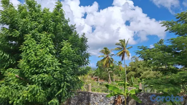 solares y terrenos - 🌴 TERRENO EN VENTA EN LAS GALERAS — A SOLO 320 MET 4