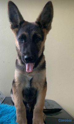 seller-logo