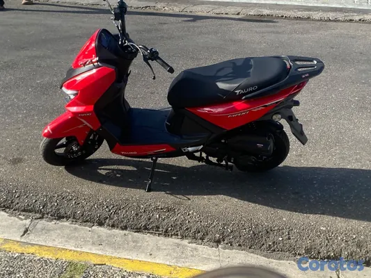 motores y pasolas - Tauro maxi 2026 7