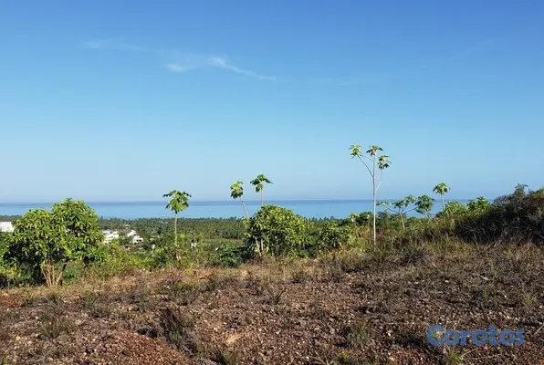 solares y terrenos - En venta terreno de 10,000 m² en Cosón, Las Terrenas 9