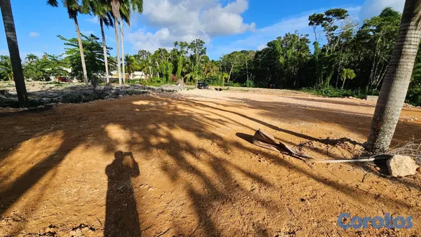solares y terrenos - Terreno A 3 Minutos de Playa Ballenas, Rodeado de Villas de Lujo 3