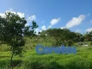 solares y terrenos - Solar en venta de 5,000 mts2 ubicado en la Cuaba KM 22 6
