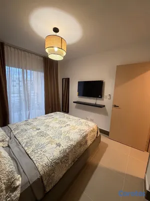apartamentos - atención aerolíneas y empresas privadas  Apartamento Punta Cana-Bavaro  14