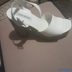 Zapatilla Steve Madden