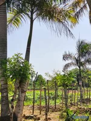 solares y terrenos - ¡SOLAR EN VENTA DE 6,000 M²! 6
