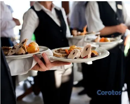 servicios profesionales - CAMARERO , BARTENDER 2