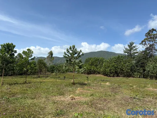 solares y terrenos - Los mogotes, Villa Altagracia. Terreno para construir la villa de tus sueños. 4