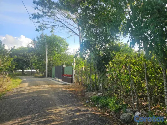 solares y terrenos - Terreno En Venta En La Joya, San Francisco De Maco 6