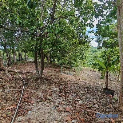 solares y terrenos - Vende Finca en Ramón Santana. 📍San Pedro de Macorí 5