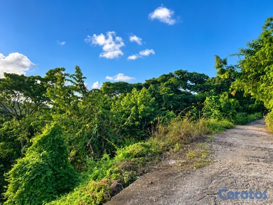 solares y terrenos - Solar 1,523 m² con vista panorámica en Pueblecito, Las Terrenas – US$122,000 6