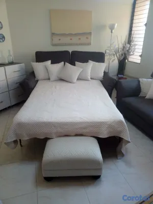 muebles y colchones - Sofa cama de 2 , Queen , Importado 7