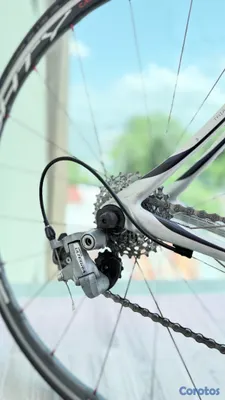 bicicletas y accesorios - Cannondale Synapse Carbon Talla 56 | Shimano Ultegra | Ruta 3