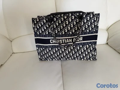 cartera Cristian Dior grande 
