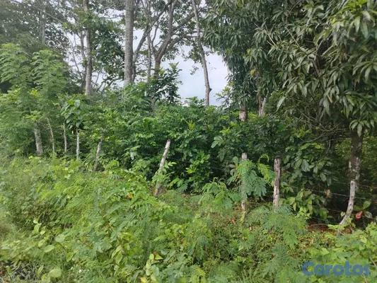 solares y terrenos - finca perfecto para casa campestre en bayaguana  6