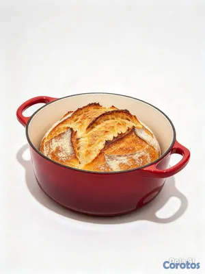 cocina - Olla Ovalada Hierro Fundido 2