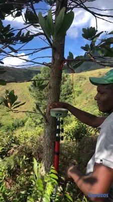 solares y terrenos - Tierra del dueño sin intermediarios está en
proceso de titulacion 7