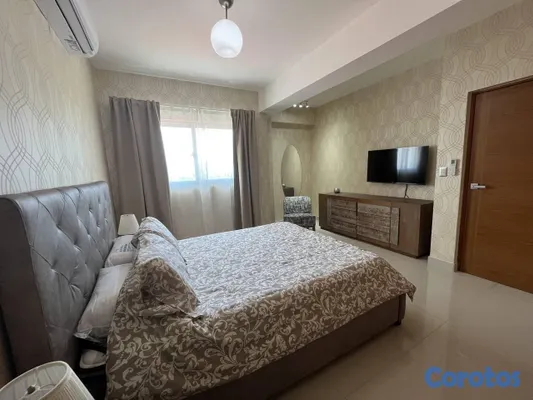 apartamentos - Apartamento en Alquiler en Piantini Amueblado de U 5