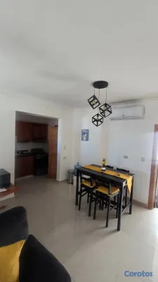 apartamentos - Apartamento amueblado 1 habitacion y con terraza 2