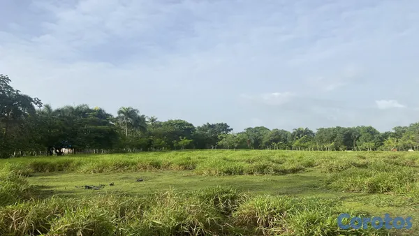 solares y terrenos - FINCA EN LA MISMA CARRETERA MONTE PLATA 3