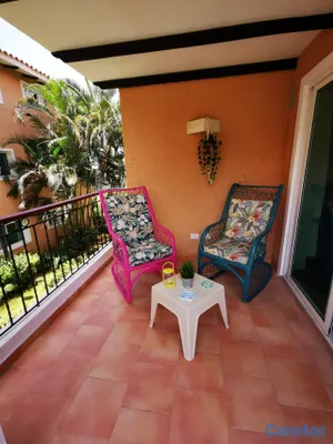 apartamentos - Apartamento totalmente amueblado con linea blanca completa. Amenidades y playa. 9