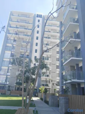 apartamentos - Apartamento en Villa Marina, Torre Villa Marina Garden 11