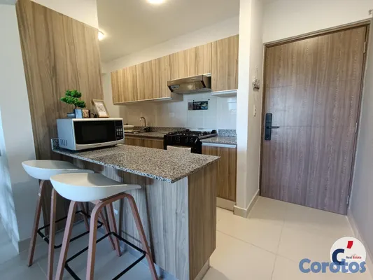 apartamentos - Apartamento Amoblado en alquiler en Epic Punta Can 4
