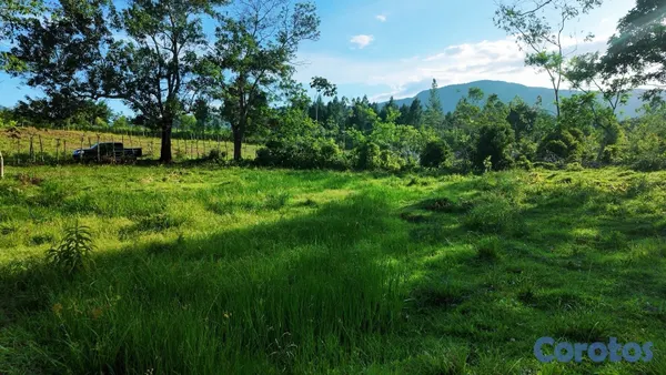 solares y terrenos - EDÉN 1ro🌳❤️ 11