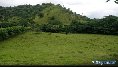 FINCA GANADERA EN HIGÜEY - 1,000 TAREAS 💰 📍 PRECIO