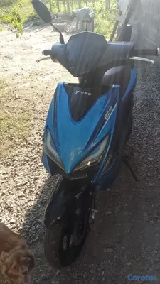 motores y pasolas - TA casi nueva 2