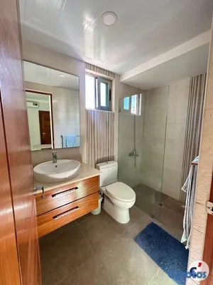 apartamentos - Alquilo apartamento completamente amueblado con do 15