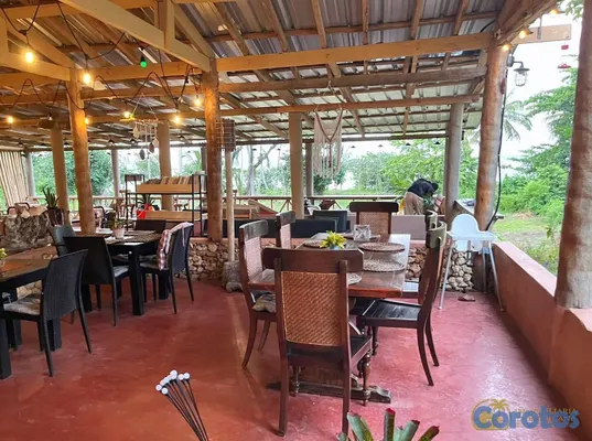 otros inmuebles - Hotel boutique en venta en Samaná 2