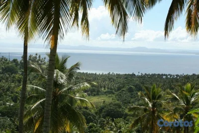 Vendo Terreno entre La Pascuala-Río los Cocos,SAMANÁ,Rep.Dominicana 