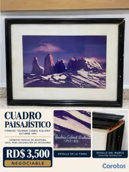 decoración y accesorios - CUADRO PAISAJÍSTICO (NEGOCIABLE) USADO
