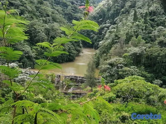 solares y terrenos - finca finquita loma de blanco bonao balneario exclusivo 3