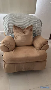 SILLON RECLINABLE