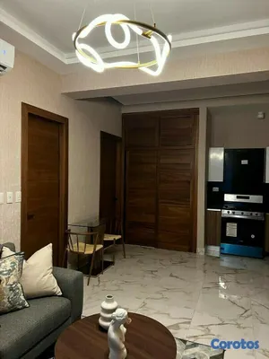 apartamentos - Apartamento en alquiler amueblado de 2 habitaciones (148mts2) en los Cacicazgos 7