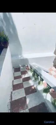 apartamentos - Alquiler Colinas Ríos plaza Duarte  6