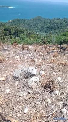 solares y terrenos -  se vende de 50 tarea en adelante de terreno en esta área con su título  2