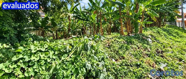 solares y terrenos - Venta de terreno– Prados del Cachón, Cancino, Sant 4