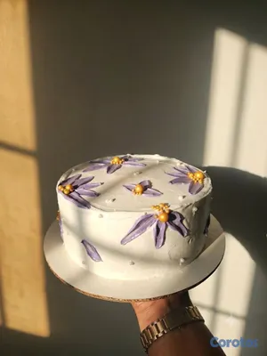 servicios profesionales - Repostera y Pastelera.
 5